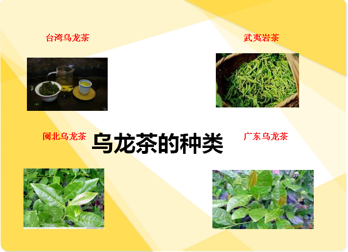 乌龙茶的种类